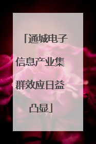 通城电子信息产业集群效应日益凸显